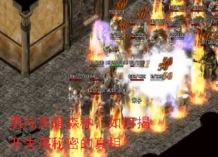 �´��ڰ�ɭ�֣���νҿ�ʧ�����ܵ����ࣿ