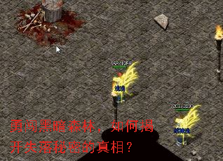 �´��ڰ�ɭ�֣���νҿ�ʧ�����ܵ����ࣿ