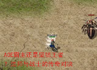 AOE�������Ǽ������ߣ���ʦ��սʿ�Ĵ���Ծ�