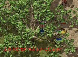 ������Ը��ο��ټ����߿����飿