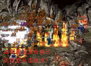 �����ѡ�ʺ��Լ���΢��ϻ��汾��