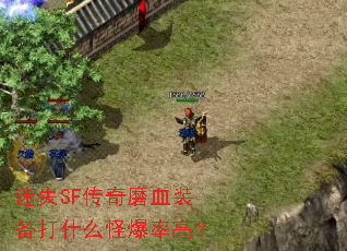 ��ʧSF����ĥѪװ����ʲô�ֱ��ʸߣ�