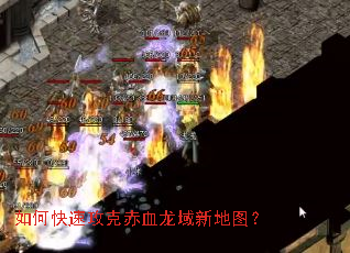 ��ο��ٹ��˳�Ѫ�����µ�ͼ��