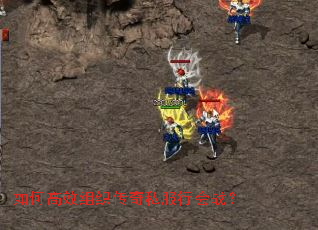 ��θ�Ч��֯����˽���л�ս��