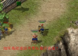 ��θ�Ч��֯����˽���л�ս��