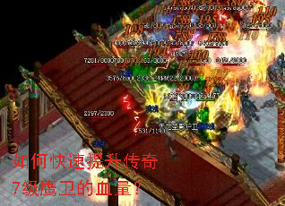 ��ο�����������7��ӥ����Ѫ����