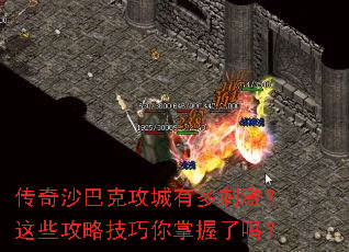 ����ɳ�Ϳ˹����ж�̼�����Щ���Լ�������������