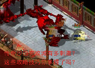 ����ɳ�Ϳ˹����ж�̼�����Щ���Լ�������������