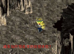 ������ǿ������������飿