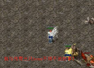 ���봫����ֻboss���ò�˵���£�