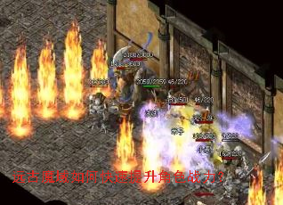 Զ��ħ����ο���������ɫս����