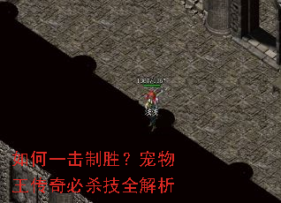 ���һ����ʤ�������������ɱ��ȫ����