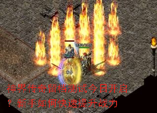 ��紫���������Խ��տ�����������ο�������ս��