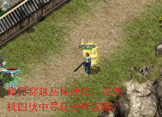 ��δ�Խ�����Թ�����Σ���ķ���Ѱ���汦�أ�