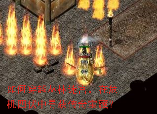 ��δ�Խ�����Թ�����Σ���ķ���Ѱ���汦�أ�