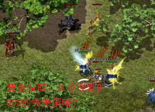 黄金获取:从小怪到BOSS的完美策略? 黄金获取:从小怪到BOSS的完美策略?