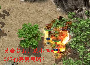 黄金获取:从小怪到BOSS的完美策略? 黄金获取:从小怪到BOSS的完美策略?