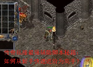 ����˽����ǿ�����ű��ؼ�����δ����ֿ��ٽ���Ϊ���֣�