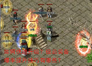 如何快速升级?极品装备爆率提升技巧有哪些? 如何快速升级?极品装备爆率提升技巧有哪些?