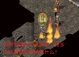 如何制霸辽宁服务器?独步苍穹的终极攻略是什么? 如何制霸辽宁服务器?独步苍穹的终极攻略是什么?