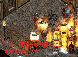 ����ư����������������������ռ�������ʲô��