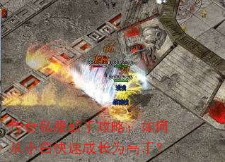 ����˽�����ֹ��ԣ���δ�С�׿��ٳɳ�Ϊ���֣�