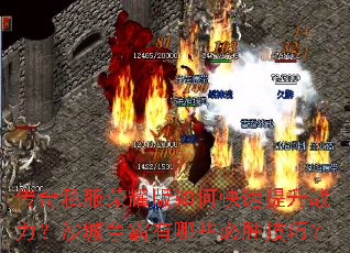 ����˽����ҫ����ο�������ս����ɳ����������Щ��ʤ���ɣ�