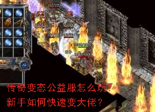 �����̬�������ô�棿������ο��ٱ���У�