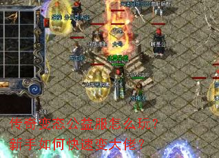 �����̬�������ô�棿������ο��ٱ���У�