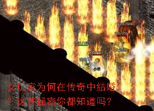 Ů���Ϊ���ڴ����н�飿��Щ�����㶼֪����