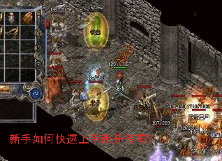 ������ο��������¿����棿