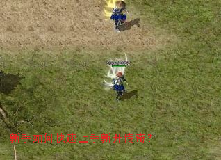 ������ο��������¿����棿