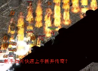 ������ο��������¿����棿