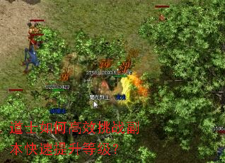 ��ʿ��θ�Ч��ս�������������ȼ���