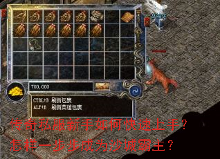 ����˽��������ο������֣�����һ������Ϊɳ�ǰ�����