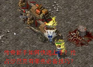 ����������ο������֣���ռɳ�Ϳ�����Щ�ر����ɣ�