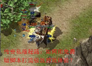 ����˽���ؼ����������Ѱ�ű����켫����Ϸ���飿