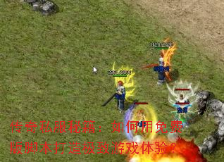 ����˽���ؼ����������Ѱ�ű����켫����Ϸ���飿