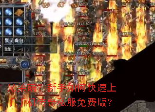 �ֵ��ȣ�������ο��������ֻ�����˽����Ѱ棿