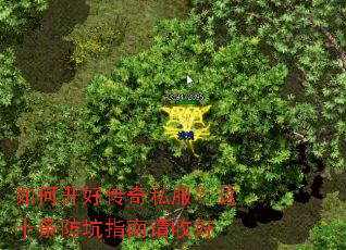 ��ο��ô���˽������ʮ������ָ�����պ�