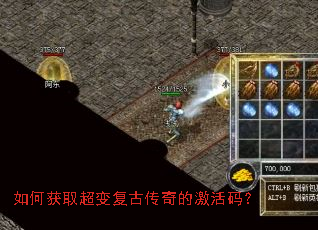 ��λ�ȡ���临�Ŵ���ļ����룿