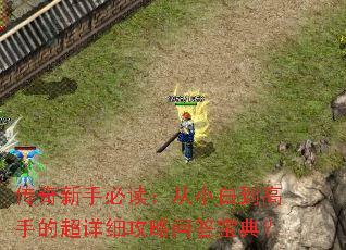 �������ֱض�����С�׵����ֵĳ���ϸ�����ʴ𱦵䣿