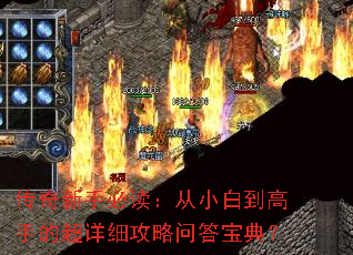 �������ֱض�����С�׵����ֵĳ���ϸ�����ʴ𱦵䣿