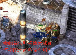 毒蛇谷法师初始天赋如何搭配才能称霸全服? 毒蛇谷法师初始天赋如何搭配才能称霸全服?