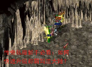 传奇私服新手必看:如何快速升级称霸玛法大陆? 传奇私服新手必看:如何快速升级称霸玛法大陆?