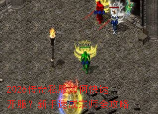 2026����˽����ο��ٿ����������ٳ���ʦȫ����