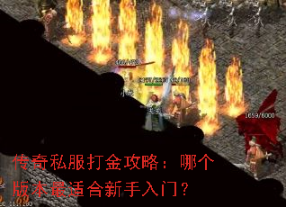 ����˽������ԣ��ĸ��汾���ʺ��������ţ�