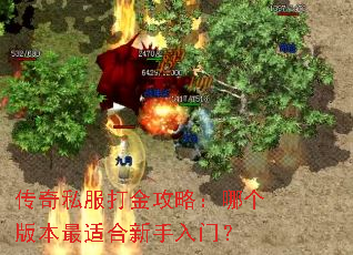 ����˽������ԣ��ĸ��汾���ʺ��������ţ�