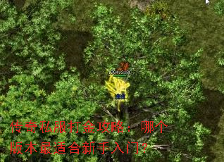 ����˽������ԣ��ĸ��汾���ʺ��������ţ�