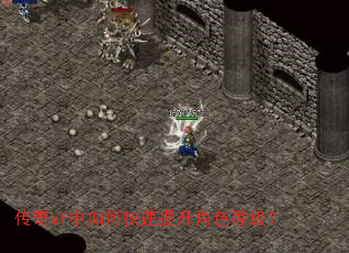 ����sf����ο���������ɫ�ȼ���